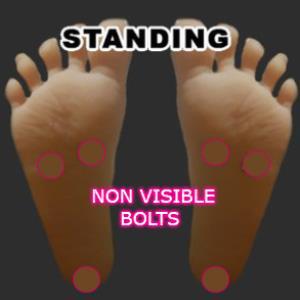 Standing  Non Visible Bolts