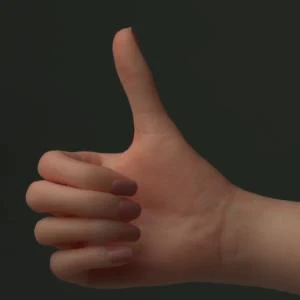 Hard Hands (seamlines)